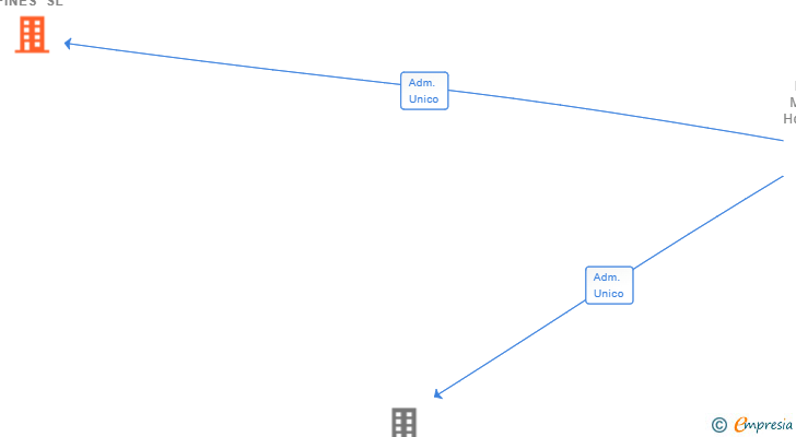 Vinculaciones societarias de GESTION SEGUROS FINES SL