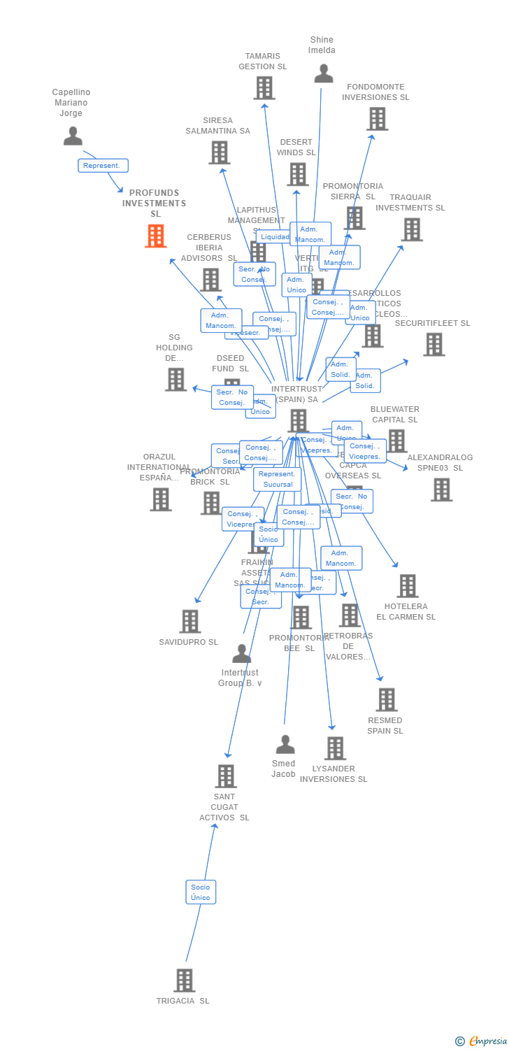 Vinculaciones societarias de PROFUNDS INVESTMENTS SL