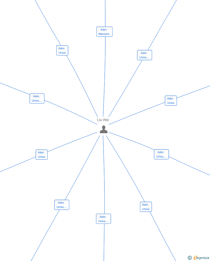 Vinculaciones societarias de AY YOSIIY SL