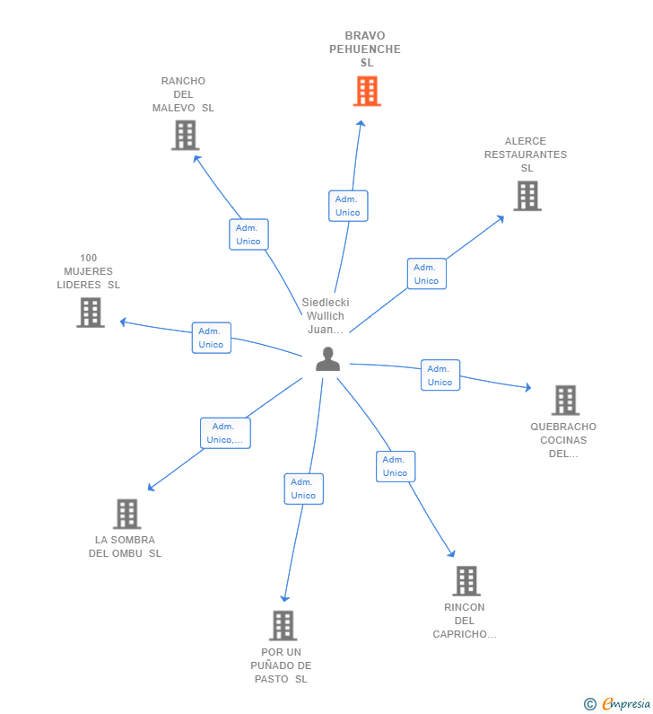 Vinculaciones societarias de BRAVO PEHUENCHE SL