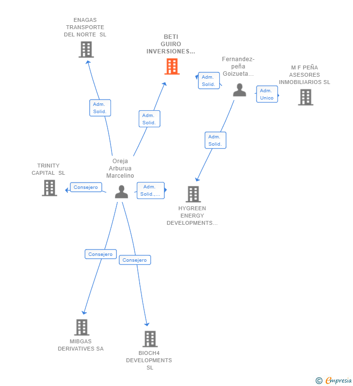 Vinculaciones societarias de BETI GUIRO INVERSIONES SL