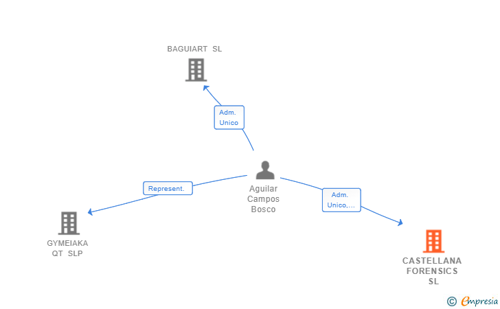 Vinculaciones societarias de CASTELLANA FORENSICS SL
