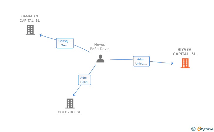 Vinculaciones societarias de HIYASA CAPITAL SL