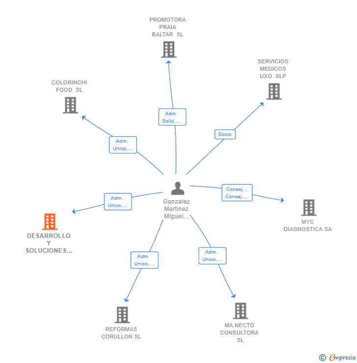 Vinculaciones societarias de DESARROLLO Y SOLUCIONES EN ALIMENTOS SL