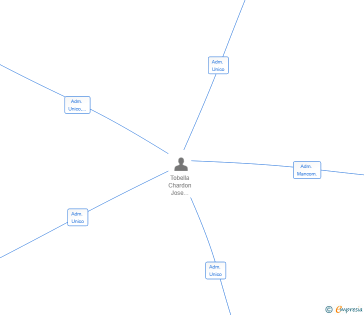 Vinculaciones societarias de COMERCIAL Y TERRENOS IBIZA SL