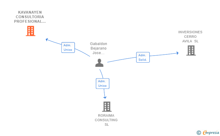 Vinculaciones societarias de KAVANAYEN CONSULTORIA PROFESIONAL SL