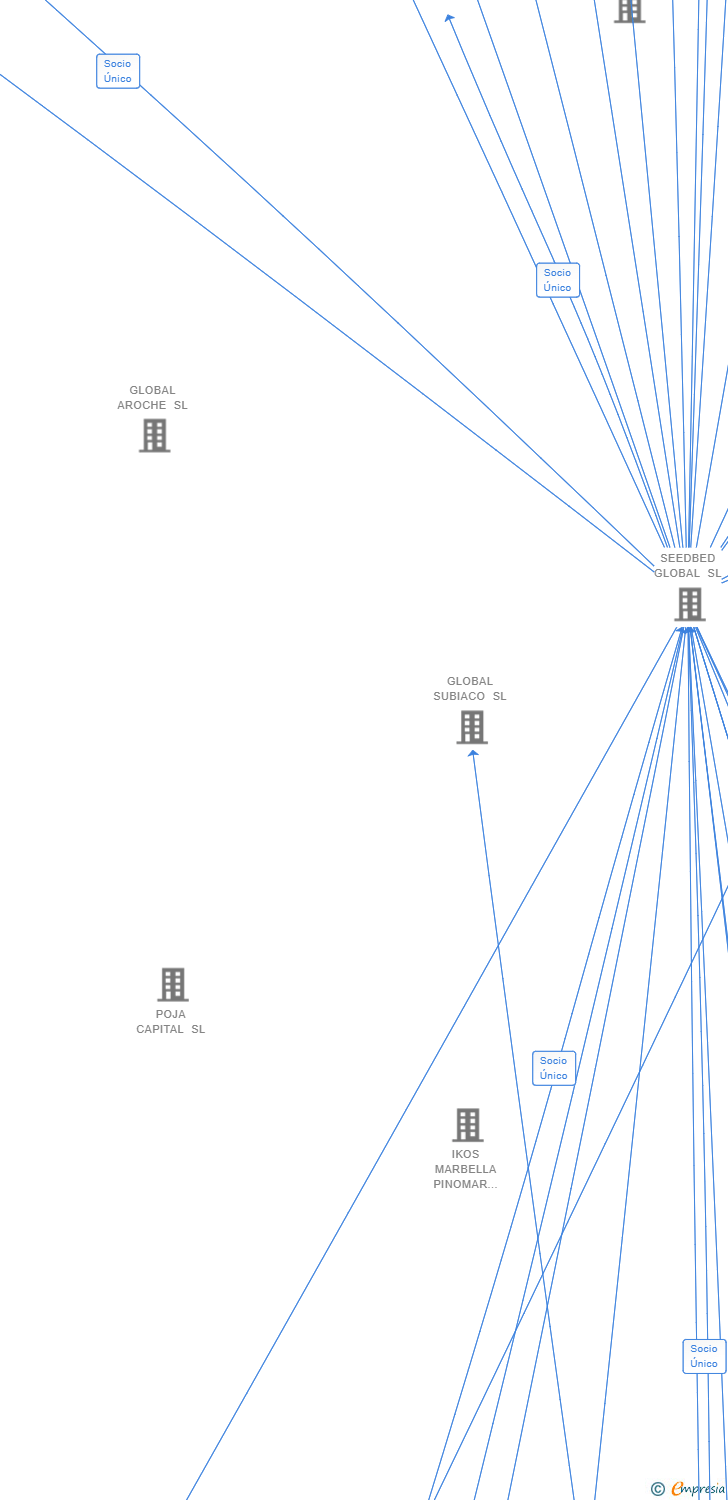 Vinculaciones societarias de YOUR.ONLINE SPAIN HOLDING SL