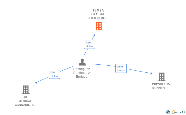 Vinculaciones societarias de TEMSA GLOBAL SOLUTIONS SL