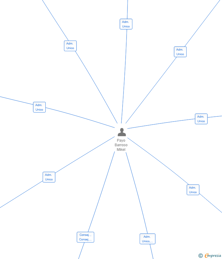 Vinculaciones societarias de THE BUSINESS STORE CONNECT SL