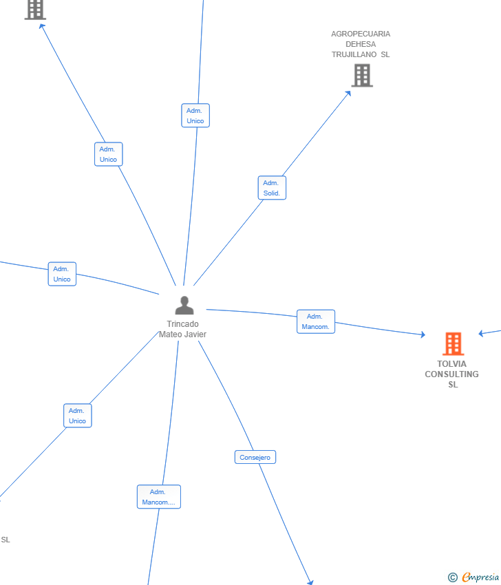 Vinculaciones societarias de TOLVIA CONSULTING SL
