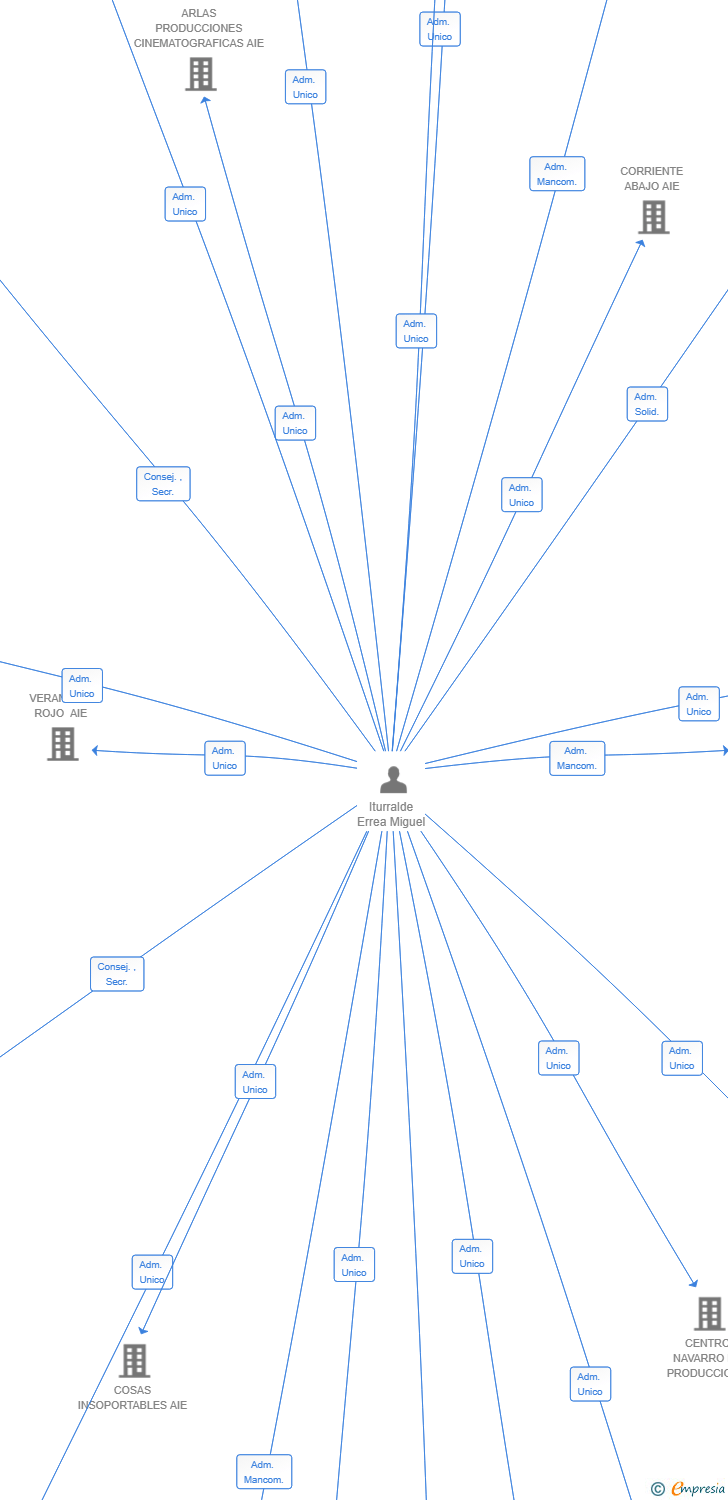 Vinculaciones societarias de AMI 2025 AIE