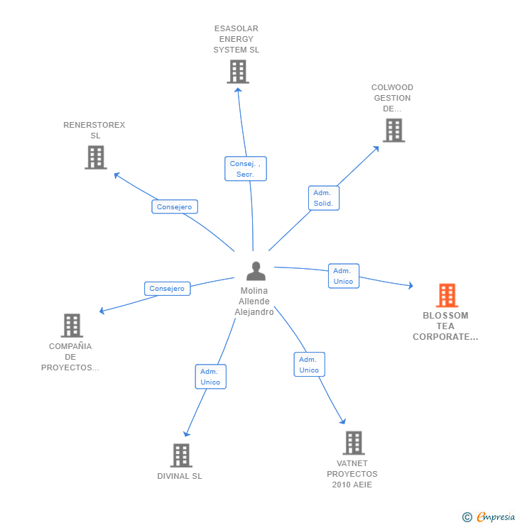 Vinculaciones societarias de BLOSSOM TEA CORPORATE SL