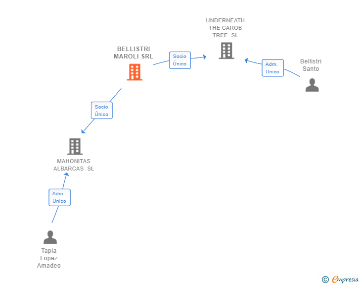 Vinculaciones societarias de BELLISTRI MAROLI SRL