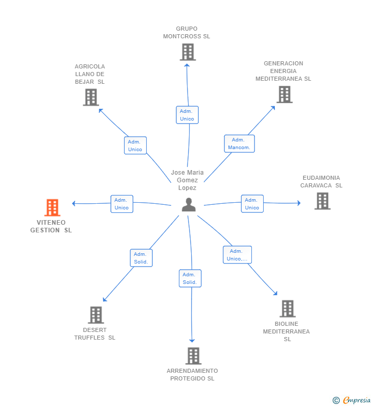Vinculaciones societarias de VITENEO GESTION SL