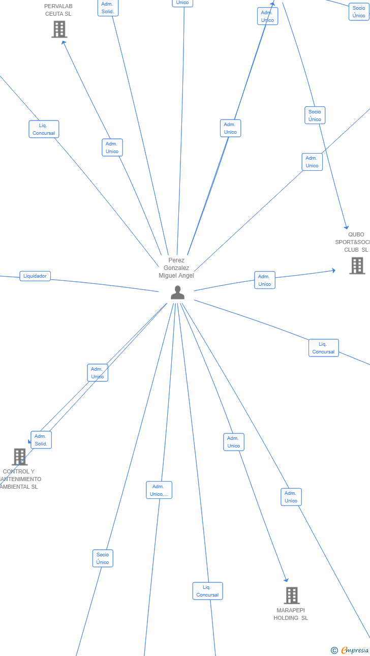 Vinculaciones societarias de PEMIRAMAN HOLDING SL