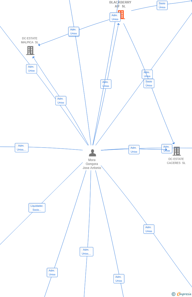Vinculaciones societarias de BLACKBERRY AIF SL