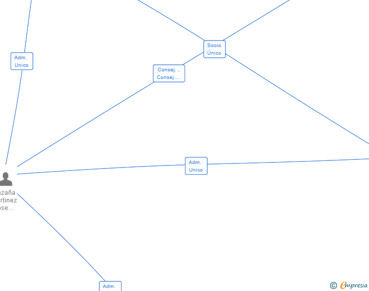 Vinculaciones societarias de NEW DIGITAL AGE SL