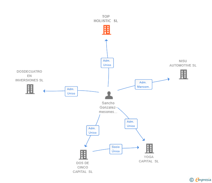 Vinculaciones societarias de TOP HOLISTIC SL