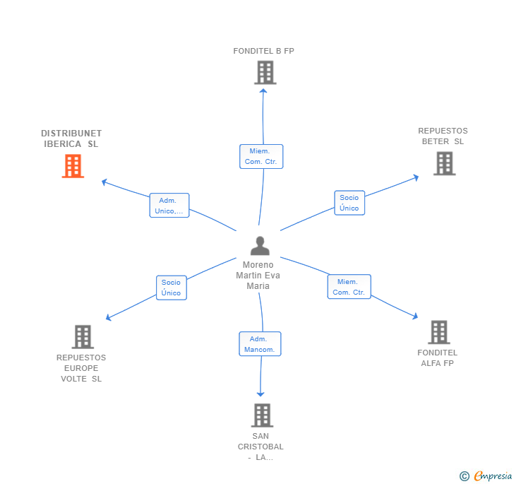 Vinculaciones societarias de DISTRIBUNET IBERICA SL