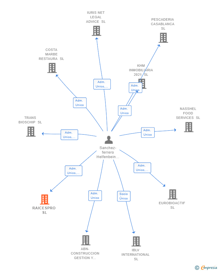 Vinculaciones societarias de RAICESPRO SL
