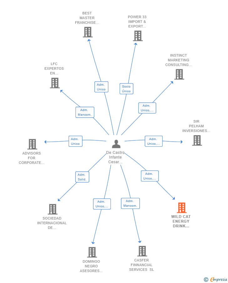 Vinculaciones societarias de WILD CAT ENERGY DRINK SPAIN SL