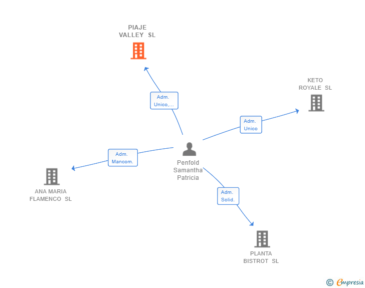 Vinculaciones societarias de PIAJE VALLEY SL
