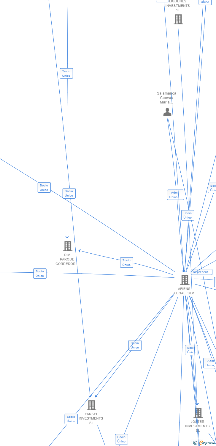 Vinculaciones societarias de GRACETO INVESTMENTS SL
