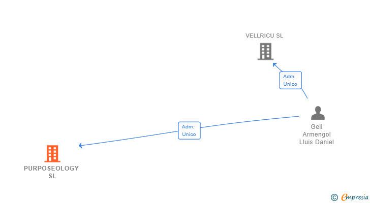 Vinculaciones societarias de PURPOSEOLOGY SL
