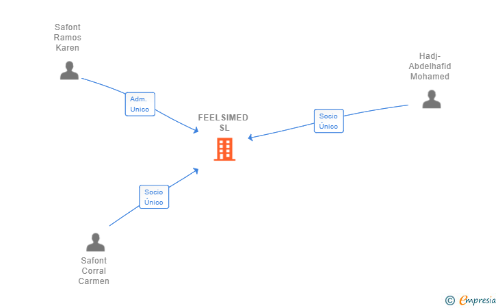 Vinculaciones societarias de FEELSIMED SL
