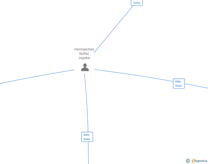 Vinculaciones societarias de LOVEANDO SL