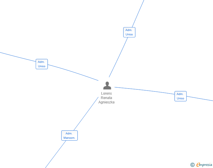 Vinculaciones societarias de IIMMANAGEMENT SL