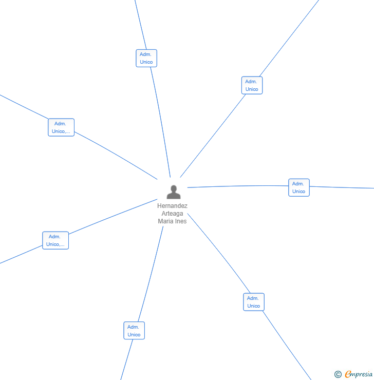 Vinculaciones societarias de AVITA HOLDING INVEST SL