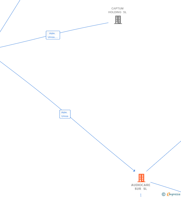 Vinculaciones societarias de AUDIOCARE SUR SL