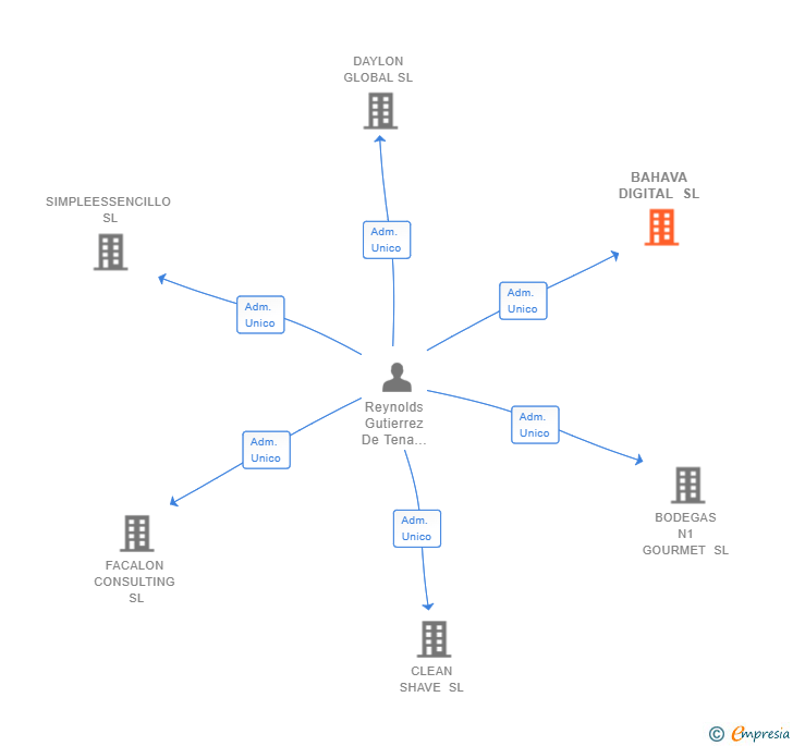 Vinculaciones societarias de BAHAVA DIGITAL SL