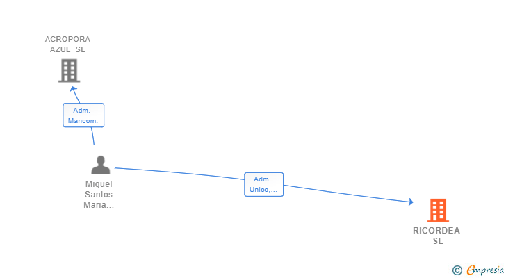 Vinculaciones societarias de RICORDEA SL