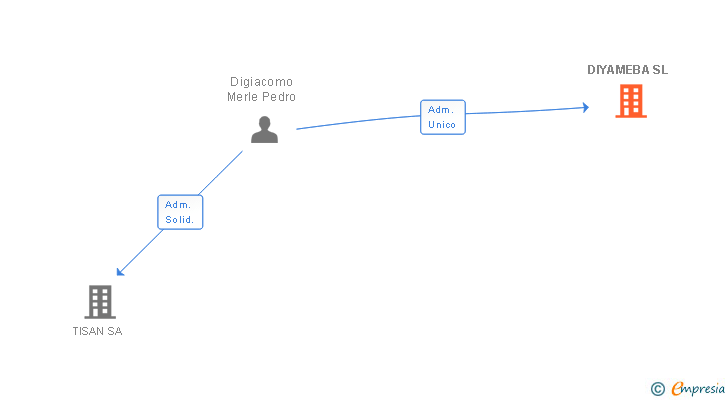 Vinculaciones societarias de DIYAMEBA SL