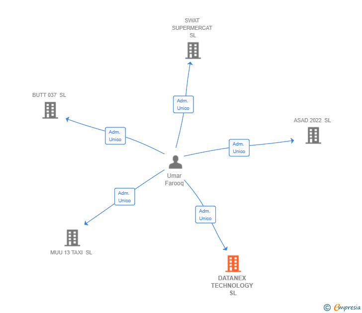 Vinculaciones societarias de DATANEX TECHNOLOGY SL