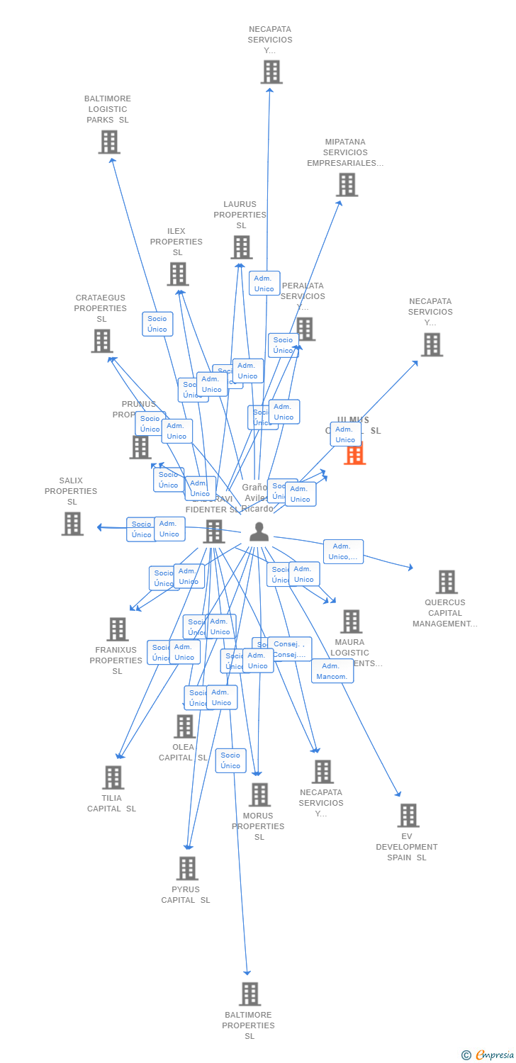 Vinculaciones societarias de ULMUS CAPITAL SL