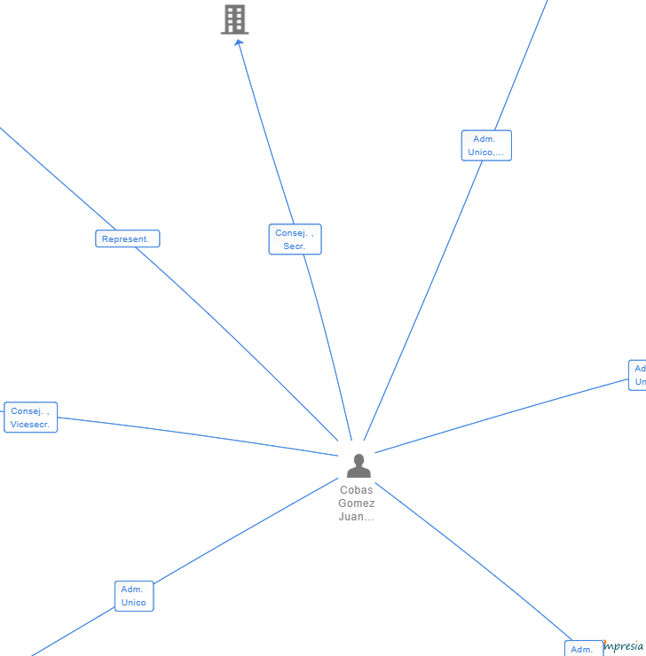 Vinculaciones societarias de COBAS&GOMEZ TECHNOLOGY VENTURES SL