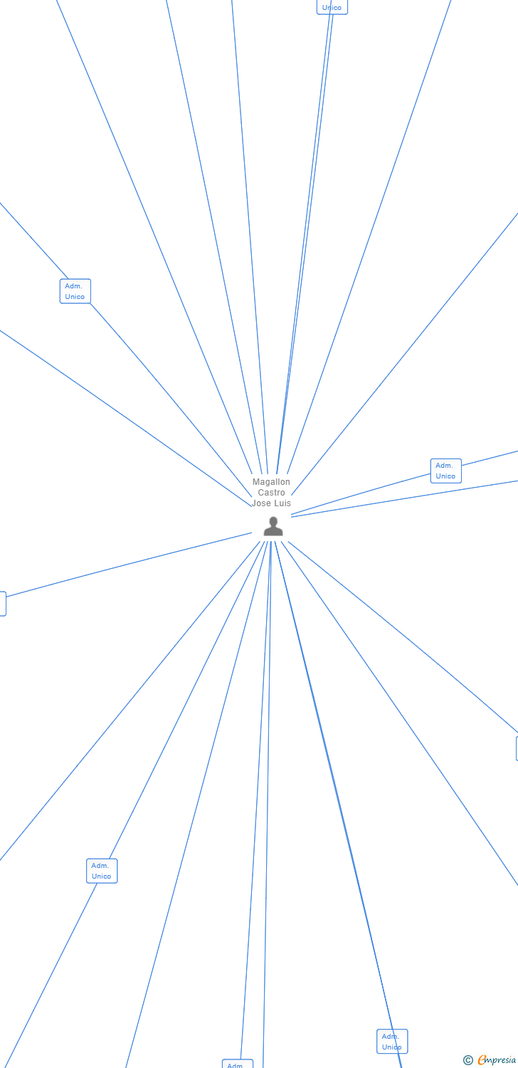 Vinculaciones societarias de ALKARYLIM SL