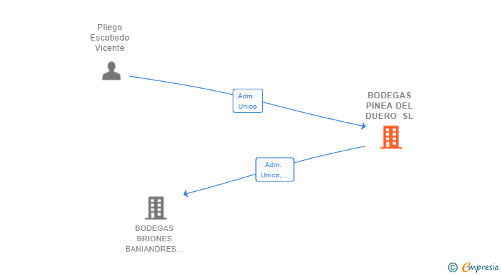 Vinculaciones societarias de BODEGAS PINEA DEL DUERO SL
