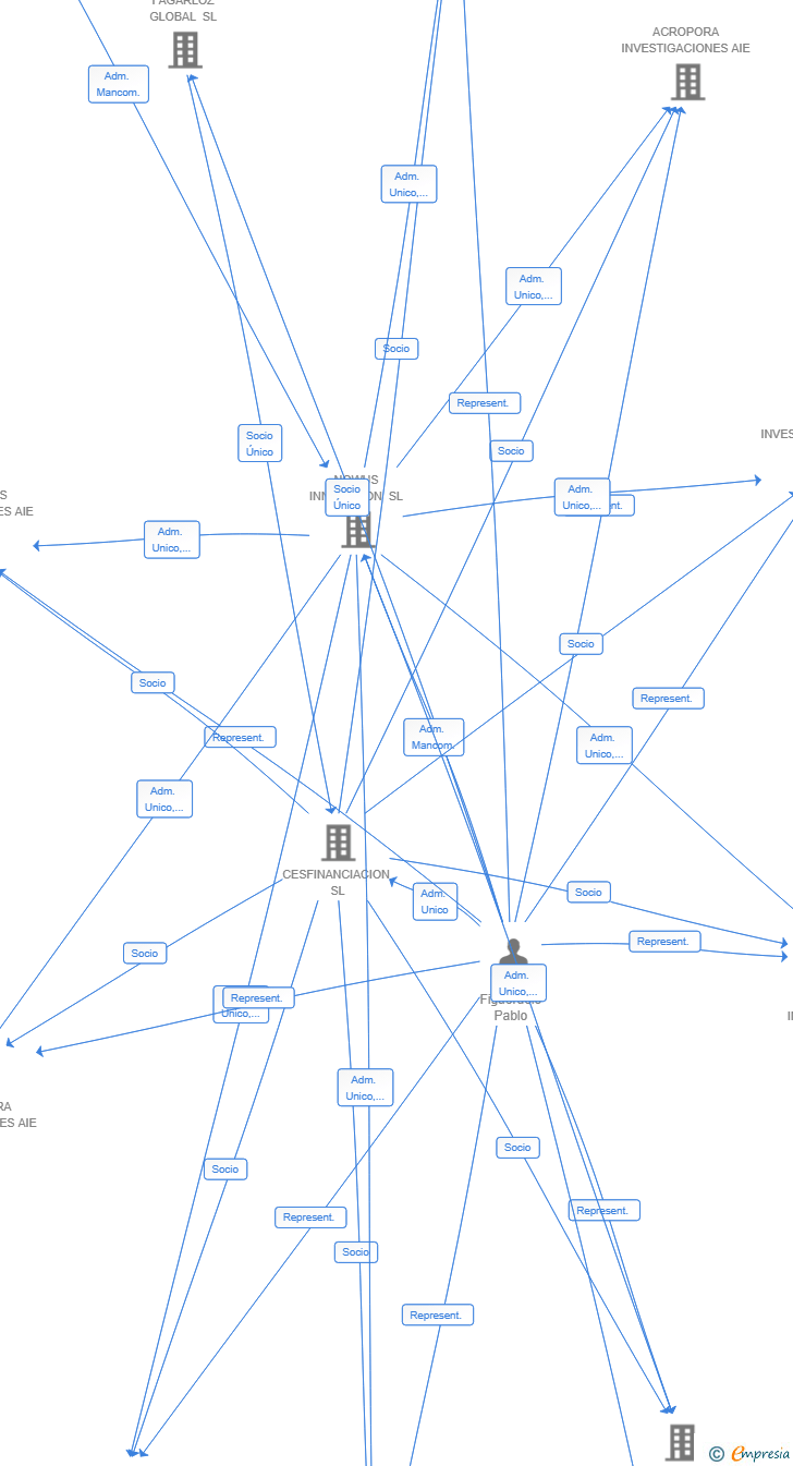 Vinculaciones societarias de CHIRONEX INVESTIGACIONES AIE