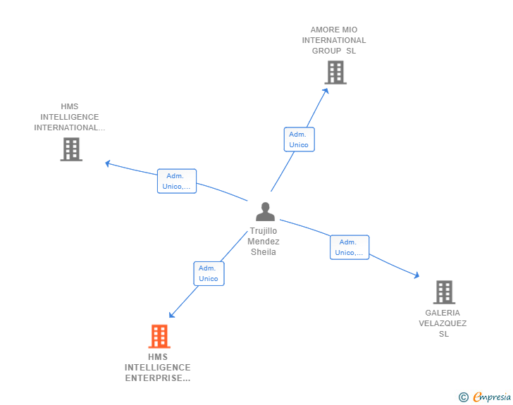 Vinculaciones societarias de HMS INTELLIGENCE ENTERPRISE SL