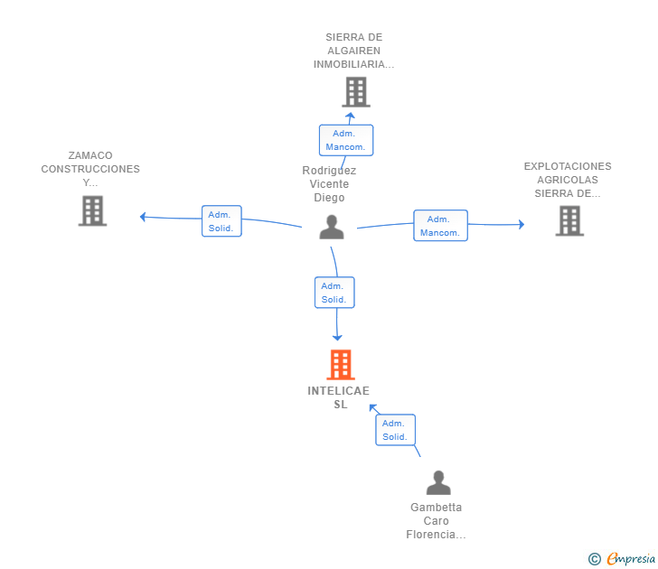 Vinculaciones societarias de INTELICAE SL