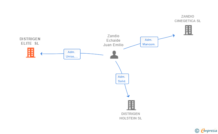 Vinculaciones societarias de DISTRIGEN ELITE SL