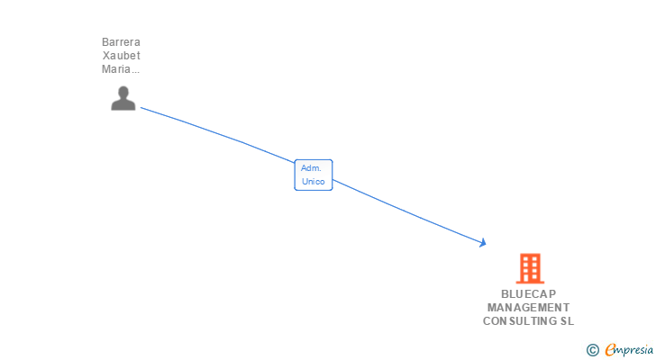Vinculaciones societarias de BLUECAP MANAGEMENT CONSULTING SL