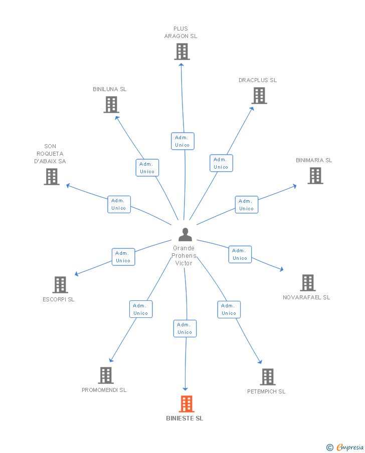 Vinculaciones societarias de BINIESTE SL