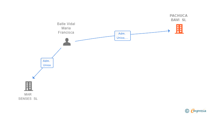 Vinculaciones societarias de PACHUCA BAVI SL