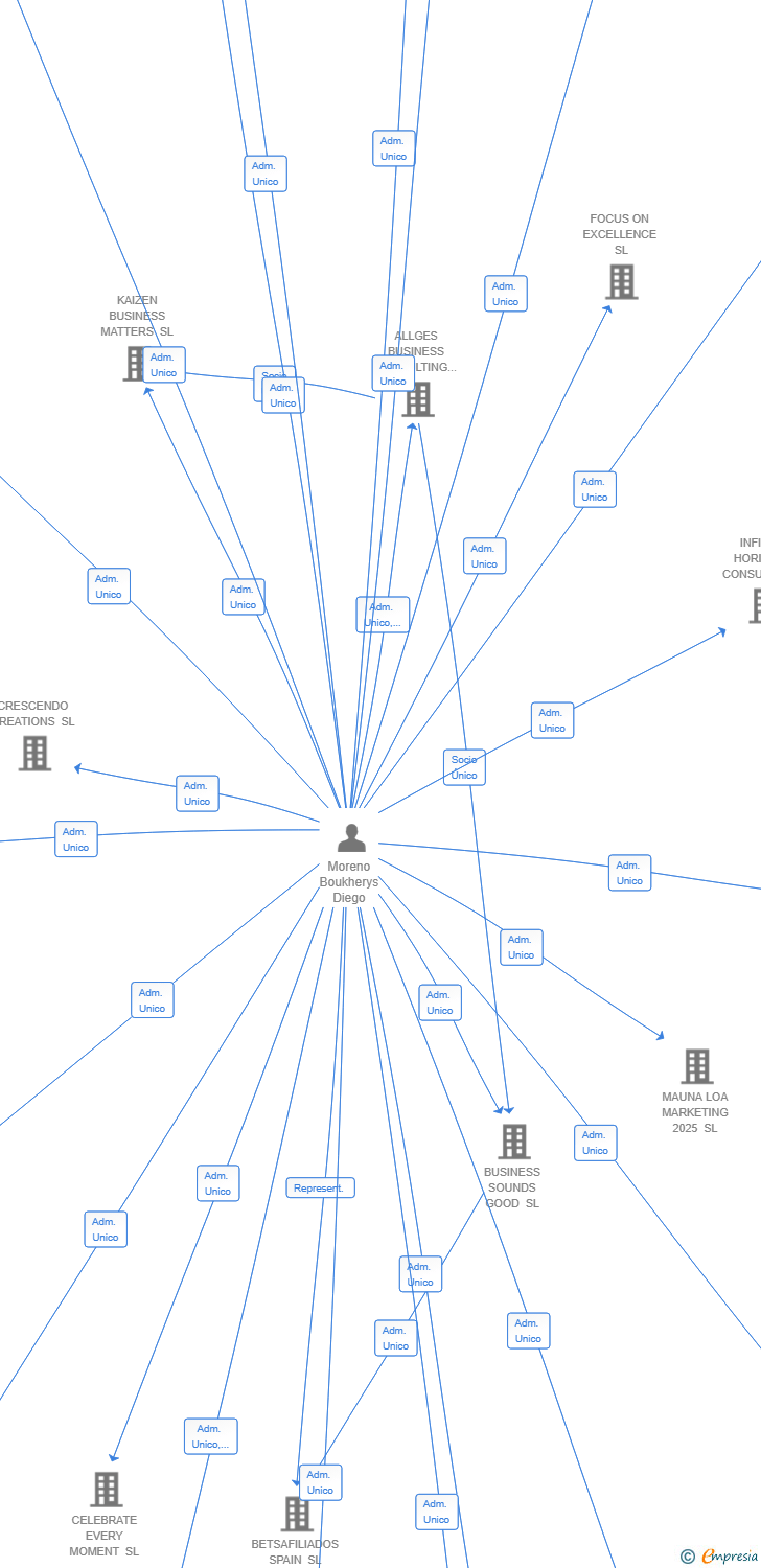 Vinculaciones societarias de BRIGHTWAVE INNOVATIONS SL