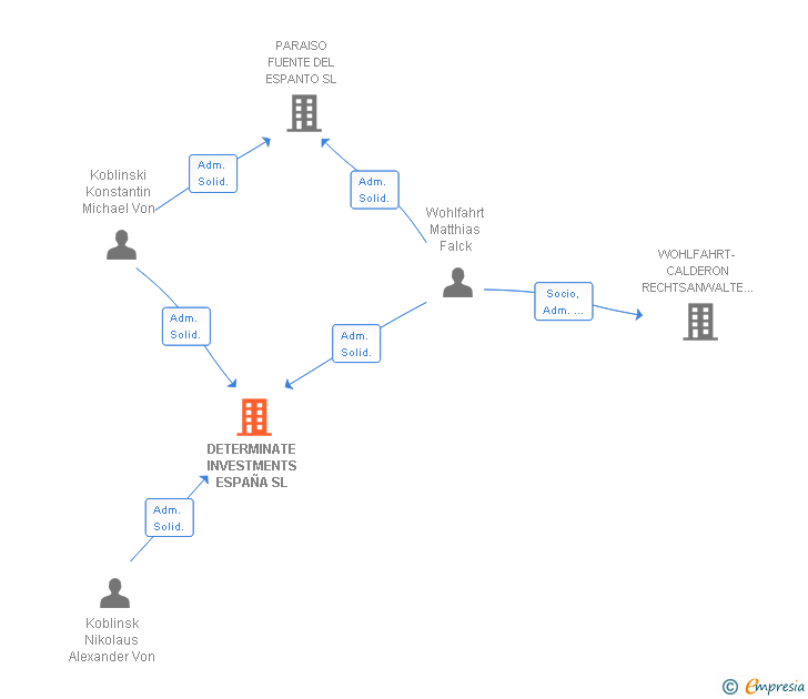 Vinculaciones societarias de DETERMINATE INVESTMENTS ESPAÑA SL